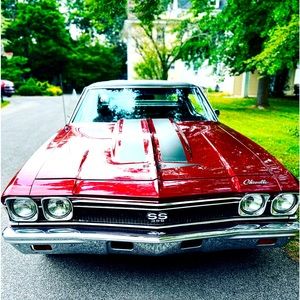 Meet your Posher, Raphael